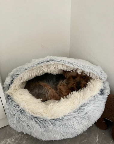 🐶🐱 Cozy Plush Pet Bed